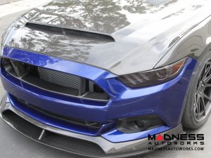 Ford Mustang Double Sided Hood by Anderson Composties - Carbon Fiber - "Super Snake"